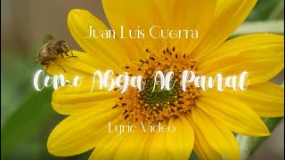 Juan Luis Guerra 440  Como Abeja Al Panal Lyric Video [upl. by Atazroglam]