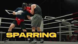 Sparring muss sein vorm Kampf [upl. by Nylatsyrk522]