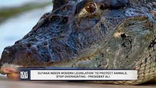 GUYANA NEEDS MODERN LEGISLATION’ TO PROTECT ANIMALS STOP OVERHUNTING PRESIDENT ALI [upl. by Javler]