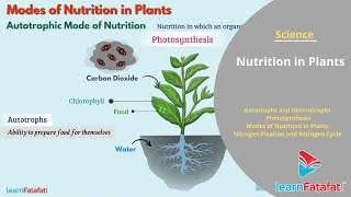 Nutrition In Plants Grade 7 Science Full Chapter  LearnFatafat [upl. by Kentigerma]