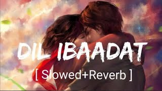 Dil Ibaadat SlowedReverb KK  Tum Mile  Textaudio [upl. by Aiuoqes415]