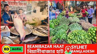 Bangladeshi Market Beanibazar Haat  Sylhet বাংলাদেশী মার্কেট বিয়ানীবাজার হাট  সিলেট [upl. by Aerdnael559]