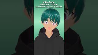 VTuber Face Tracking VSeeFace iFacialMocap Nvidia vtuber vseeface facetracking [upl. by Anatniuq256]