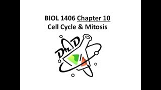 Chapter 10 Cell Cycle and Mitosis [upl. by Nikal]