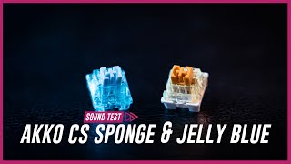 Akko CS Sponge amp Jelly Blue  Ikki68 Aurora Sound Test [upl. by Htenay162]