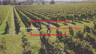 Wandern und WeinKultur – der Rheingau  HessenÜberrascht [upl. by Otaner]