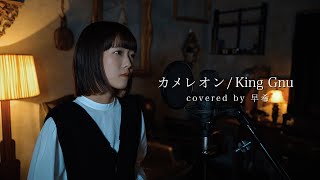 カメレオン  King Gnu  covered by 早希 [upl. by Epoh]