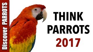 Think Parrots 2017  Discover PARROTS [upl. by Ailahs]