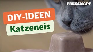 DIY für Katzen  Katzeneis selber machen [upl. by Baptiste]