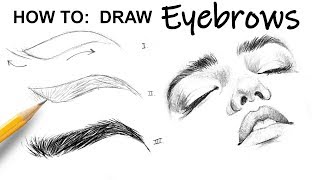 HOW TO DRAW Eyebrows [upl. by Notnert39]