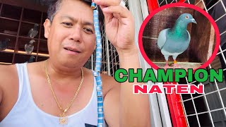 EP538  BAGUNG CLUB RING NATEN DUMATING NA [upl. by Yrrot]