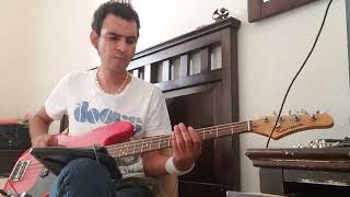 almafuerte  toro y pampa  bass cover [upl. by Wobniar]