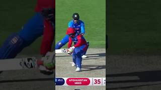 MS Dhoni stumping like a Flashcricketshort [upl. by Atig]