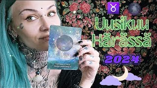 🌑♉ Uusikuu Härässä 2024 Sinä Ansaitset Kaiken Mitä Toivot ♈🌑 [upl. by Greenman656]