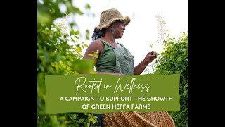 ROOTED IN WELLNESS A CAMPAIGN FOR GREEN HEFFA FARMS [upl. by Orr]