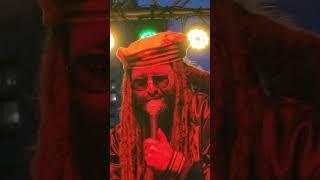 Alborosie  quotHerbalistquot Austin Reggae Fest 2024 [upl. by Acinnor]