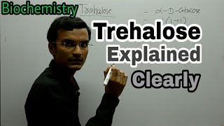 Trehalose Disaccharide  Biochemistry lecture [upl. by Stanislaus]