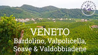 Grapetrotters Veneto 5day wine tour [upl. by Hcab]