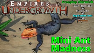 MINI ANT MADNESS  Little Black Ant Freeplay Skirmish  Empires of the Undergrowth [upl. by Alica]