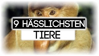 DIE 9 HÄSSLICHSTEN TIERE DER WELT [upl. by Treble]