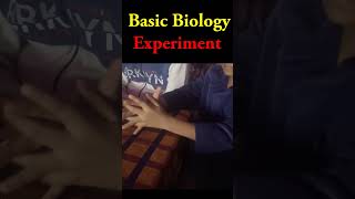 Basic Biology Experiment [upl. by Kahlil]