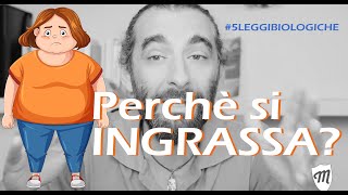 Perchè si INGRASSA 5leggibiologiche [upl. by Starr]