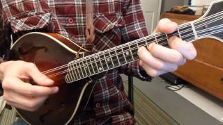 The Blarney Pilgrim With Tabs  Mandolin Lesson [upl. by Eicnarf]