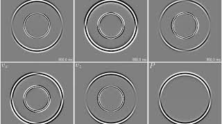 Elastic waves through a homogeneous medium [upl. by Debbra]