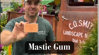 Mastic Gum [upl. by Erdda143]