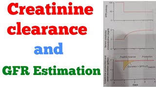 Creatinine clearance and GFR Estimation Renal system [upl. by Nicolle]