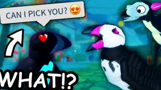 THEY TRIED TO KISS ME on Feather Family Roblox [upl. by Macdougall]