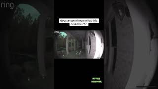 ESPIRITUS O DEMONIOS❓demonios ghost misterios hadas shortvideo [upl. by Ebocaj466]