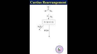 Curtius rearrangement youtube science ytshorts [upl. by Ontine]