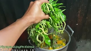 DINENGDENG NGA ALLUKON CARABASA Mixed veggies Traditional Ilocano style cooking [upl. by Lenz867]