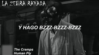 The Cramps  Human Fly Sub Español [upl. by Aniretake]