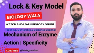 Class 9  Biology  Chapter 6  Lecture 4  Mechanism of Enzyme Action  Lock And Key Model🔥 [upl. by Feldt]