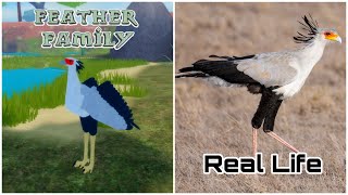 Feather Family In Real Life 4 [upl. by Lavella]