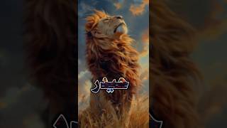 haider e karrar 🦁💖💖 haider e karrar by nadeem sarwar nadeemsarwar molaali ns nsstatus shorts [upl. by Silsbye]