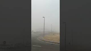 Abudhabi Fogy Day [upl. by Jessika]