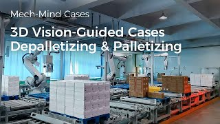 3D VisionGuided Depalletizing amp Palletizing in Logistics with MechMind [upl. by Lyrred]