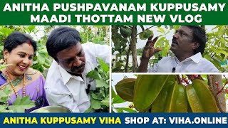 மொட்டை மாடியில் இவ்வளவு காய்கறிகள் பழங்கள் இருக்கா  Anitha Kuppusamy Terrace Garden Vlog [upl. by Ahcmis]