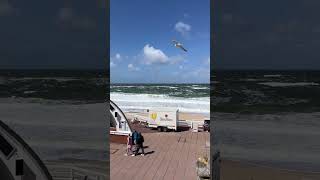 🥰❤️ Sylt am 04072024 🌊🐚 Blick über die Promenade und die Musikmuschel [upl. by Chevalier]