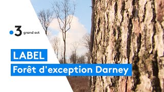 Label forêt dexception pour la forêt de Darney [upl. by Yawnoc]