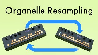 Organelle Resampling [upl. by Eeral24]