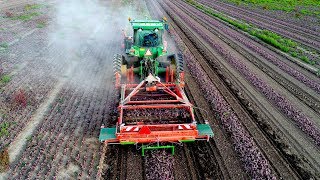 Rode uien rooien  Red Onion Harvest  John Deere 8520T amp 3 meter Holaras uienrooier  Klompe [upl. by Yasu732]