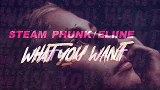 STEAM PHUNK X Eliine  What You Want Official [upl. by Gaylord]