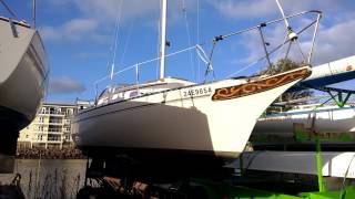 Bayfield 25 sailboat [upl. by Shifra]