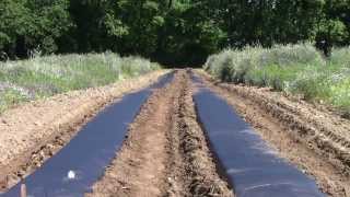 Introduction to Plasticulture and Drip Irrigation [upl. by Ramel568]