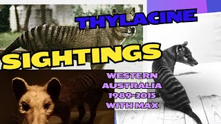 Thylacine sightings Western Australian Desert country 19892015 with Max [upl. by Kohcztiy]