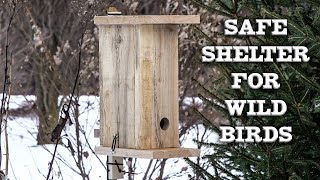 Winter Roost or Shelter For Wild Birds How to Make Your Own Chickadee Titmouse Woodpeckers [upl. by Rehptosirhc]